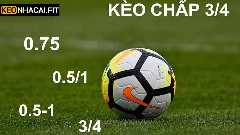Kèo Chấp 0.75 - Cách Đọc Và Bí Quyết Soi Kèo Toàn Thắng 2 Bí quyết đọc và tiền tiền kèo chấp 0.75 Bí quyết đọc và tiền tiền kèo chấp 0.75