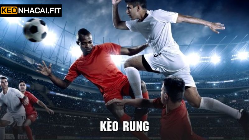 Kèo Rung - Cách Bắt Kèo Hiệu Quả Cho Người Chơi Mới 3 Những điều cần quan tâm khi đặt kèo rung