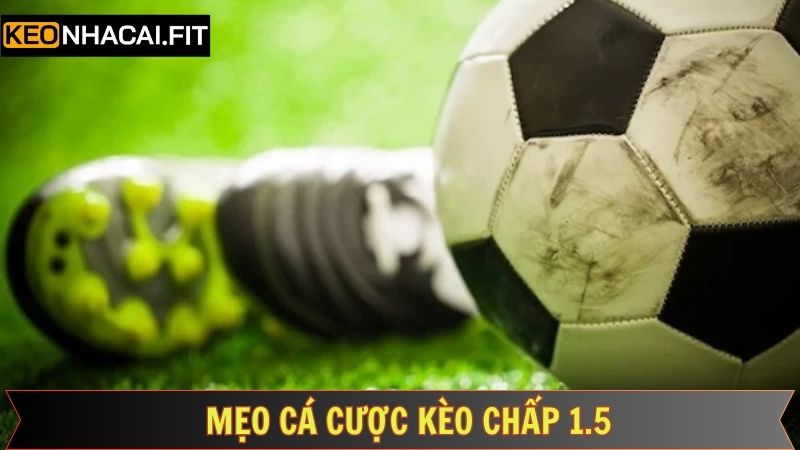 Kèo Chấp 1.5 - Lựa Chọn Hoàn Hảo Cho Dân Cá Cược Bóng Đá 3 Chiến thuật soi kèo chuẩn xác để luôn giành lợi thế