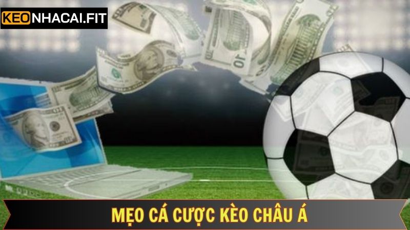 Kèo Châu Á - Xu Hướng Cá Cược Hot Và Mới Nhất Năm 2025 3 Bỏ túi vài tips chơi kèo châu Á chỉ thắng không thua