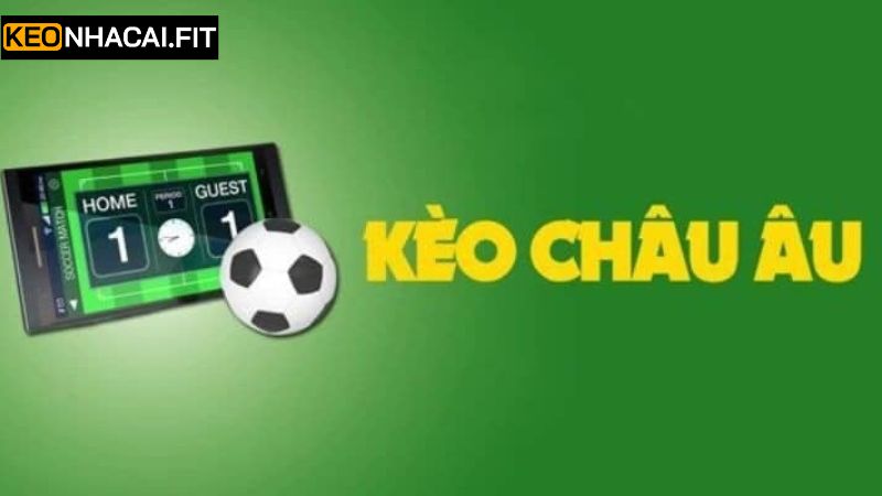 Kèo Châu Âu - Thể Loại Cược Hấp Dẫn Nhất Tại Kèo Nhà Cái 3 Một số chiến lược tham gia cá độ thành công tại sân chơi