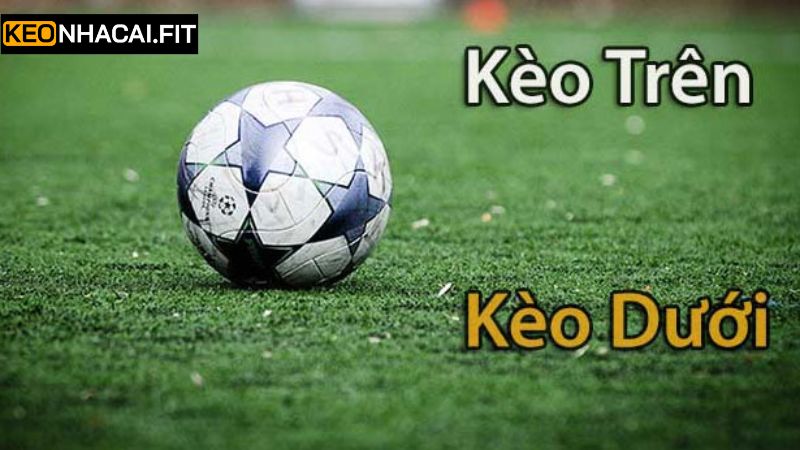 Kèo Trên Kèo Dưới - Cơ Hội Nhận Thưởng Thú Vị Và Nổi Trội 3 Các chiến lược để tham gia đem về nhiều khoản lợi nhuận cao