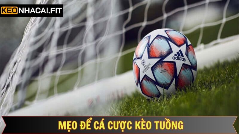 Kèo Tuồng Là Gì - Hướng Dẫn Cơ Bản Cho Người Chơi Mới 3 Những mẹo nên áp dụng khi tham gia cược tuồng