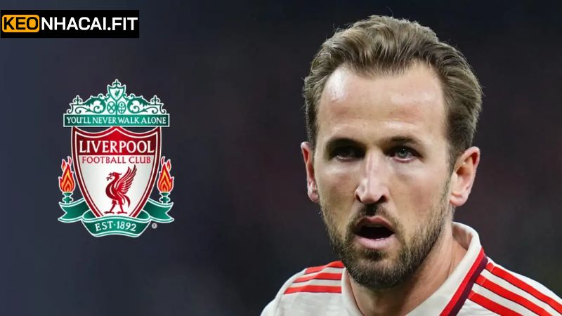 Harry Kane Tìm Đường Về Liverpool Gây Chấn Động Lớn 1 Giới thiệu về Harry Kane khi muốn về Liverpool