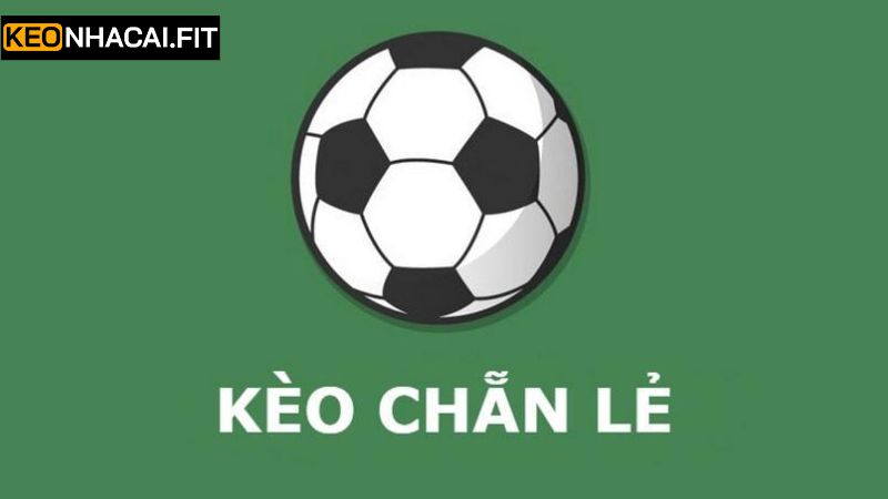 Cược Chẵn Lẻ - Chiến Thắng Các Trận Đấu Một Cách Dễ Dàng 1 Khám phá đôi chút về cược chẵn lẻ