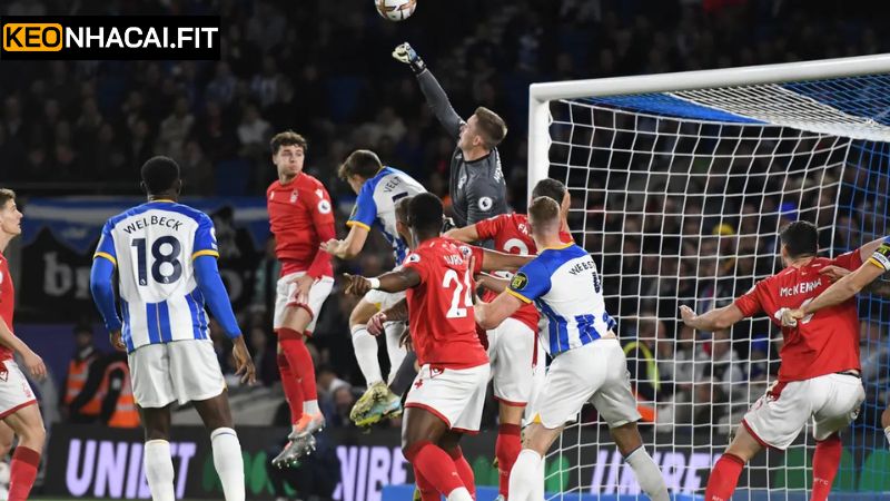 Soi Kèo Brighton Hove Albion Vs Nottingham Forest 00h15 Ngày 30/3 1 Khái quát về phong độ gần nhất của hai đội