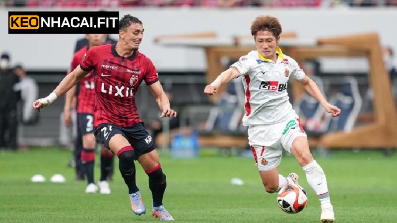 Soi Kèo Nagoya Grampus Vs Albirex Niigata 12h Ngày 31/5 1 Nhận định chung về tình hình trận đấu