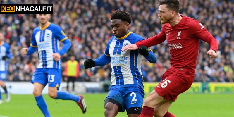 Soi Kèo Brighton Hove Albion Vs Liverpool Lúc 19h30 Ngày 21/03 2 Phong độ mới nhất giữa Brighton Hove Albion vs Liverpool