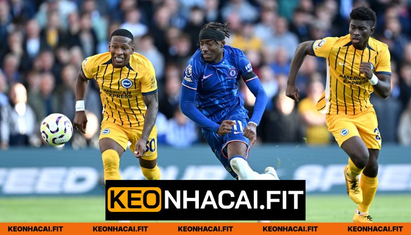 Nhận Định Brighton Hove Albion Vs Chelsea 2H Ngày 22/04 - Ngoại Hạng Anh 2 Nhận xét phong độ Brighton Hove Albion vs Chelsea