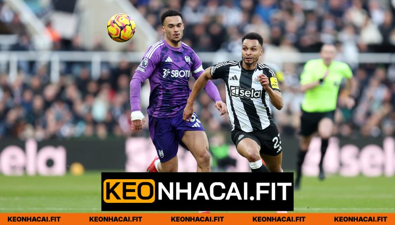 Nhận Định Fulham Vs Newcastle United Lúc 22H00 Ngày 24/05 - Ngoại Hạng Anh 2 Phong độ Fulham vs Newcastle United mới nhất
